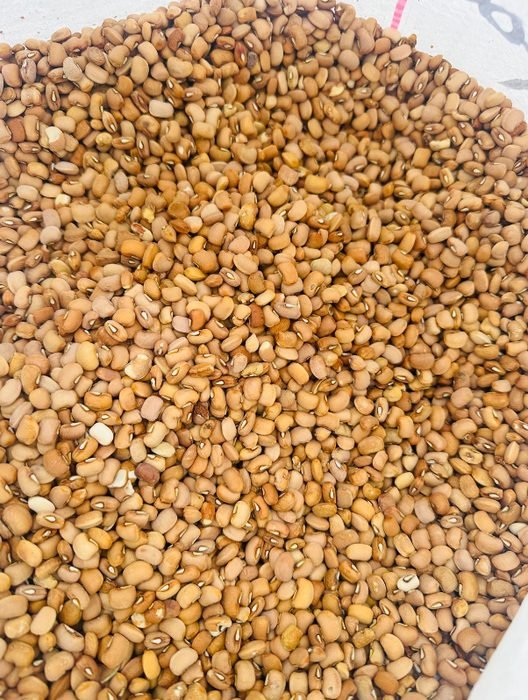 Beans